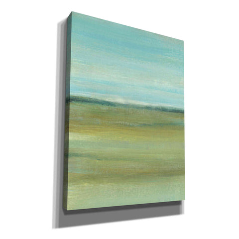 Image of 'Terra Verde I' by Tim O'Toole, Canvas Wall Art