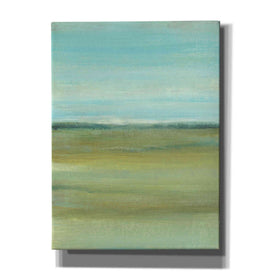 'Terra Verde I' by Tim O'Toole, Canvas Wall Art