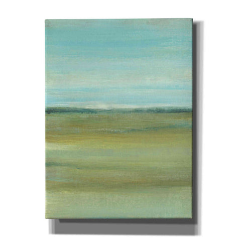 Image of 'Terra Verde I' by Tim O'Toole, Canvas Wall Art