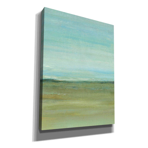 Image of 'Terra Verde II' by Tim O'Toole, Canvas Wall Art