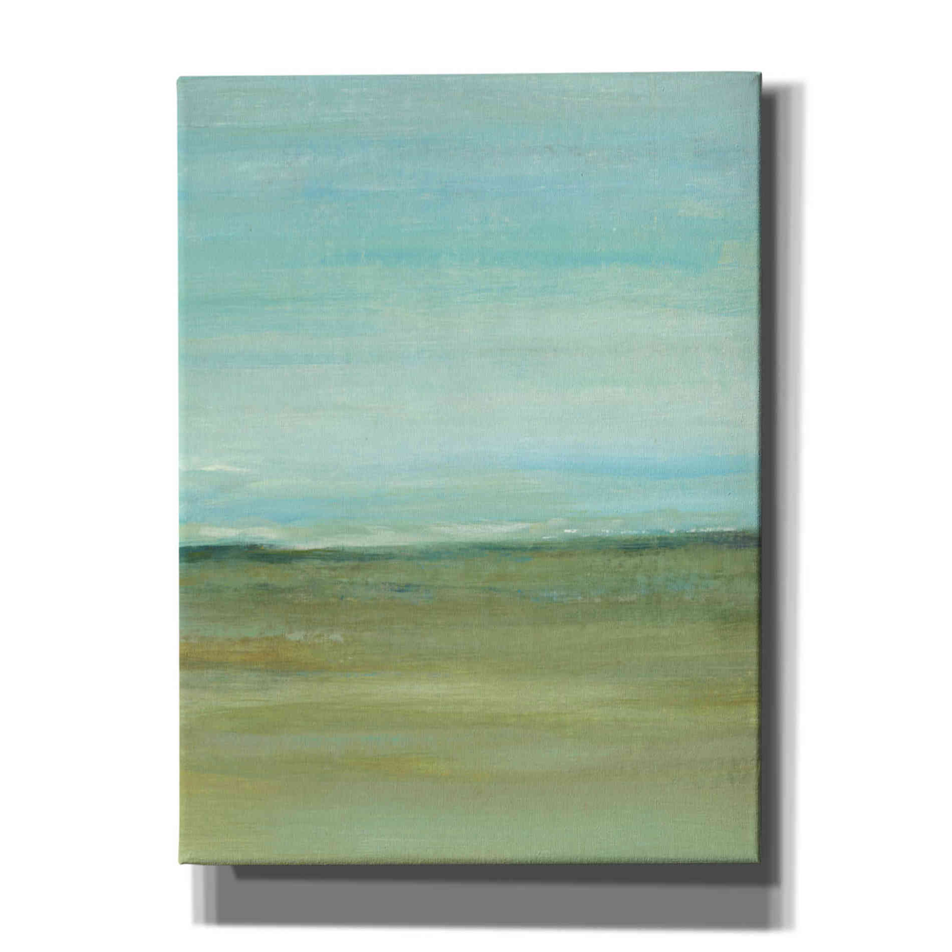 'Terra Verde II' by Tim O'Toole, Canvas Wall Art