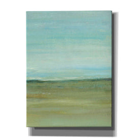 'Terra Verde II' by Tim O'Toole, Canvas Wall Art