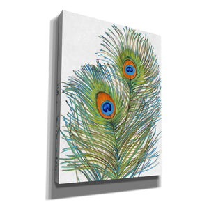 'Vivid Peacock Feathers I' by Tim O'Toole, Canvas Wall Art