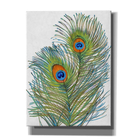 Image of 'Vivid Peacock Feathers I' by Tim O'Toole, Canvas Wall Art