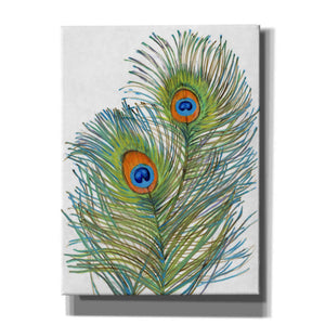 'Vivid Peacock Feathers I' by Tim O'Toole, Canvas Wall Art