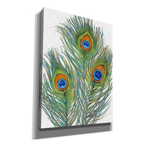 'Vivid Peacock Feathers II' by Tim O'Toole, Canvas Wall Art