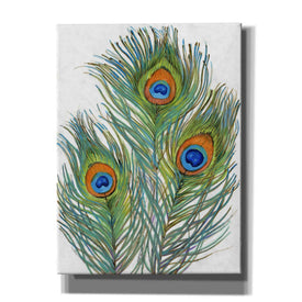 'Vivid Peacock Feathers II' by Tim O'Toole, Canvas Wall Art