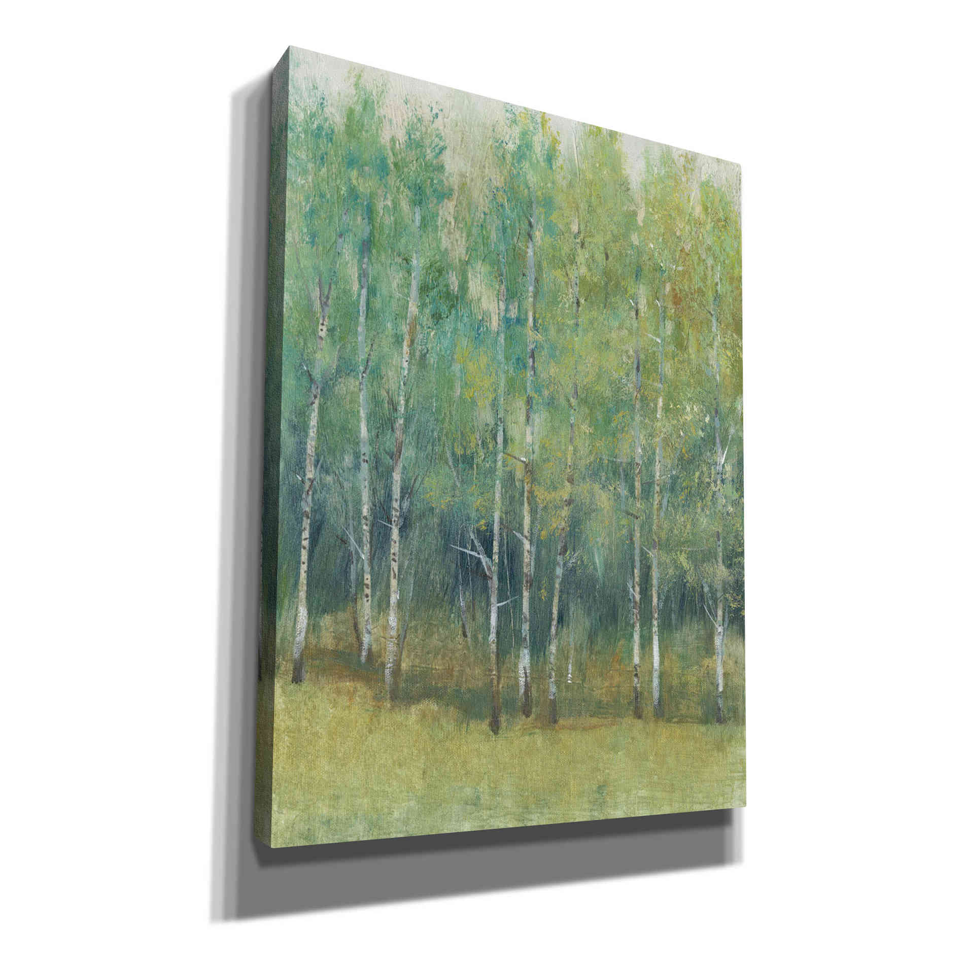 'Woodland Edge I' by Tim O'Toole, Canvas Wall Art