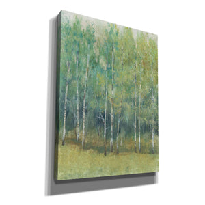 'Woodland Edge I' by Tim O'Toole, Canvas Wall Art