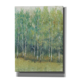 'Woodland Edge I' by Tim O'Toole, Canvas Wall Art