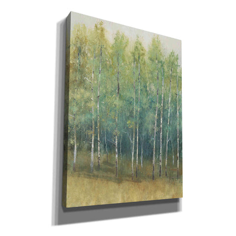 Image of 'Woodland Edge II' by Tim O'Toole, Canvas Wall Art