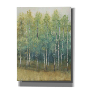 'Woodland Edge II' by Tim O'Toole, Canvas Wall Art