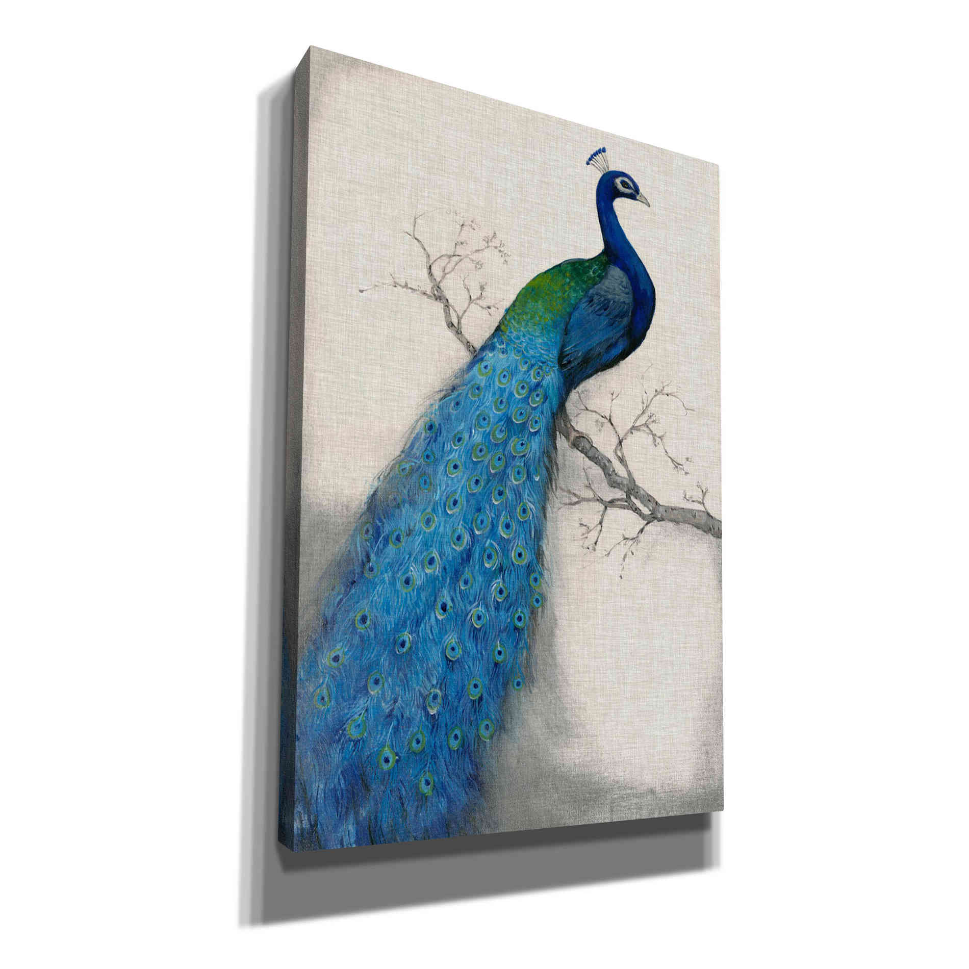 'Peacock Blue I' by Tim O'Toole, Canvas Wall Art