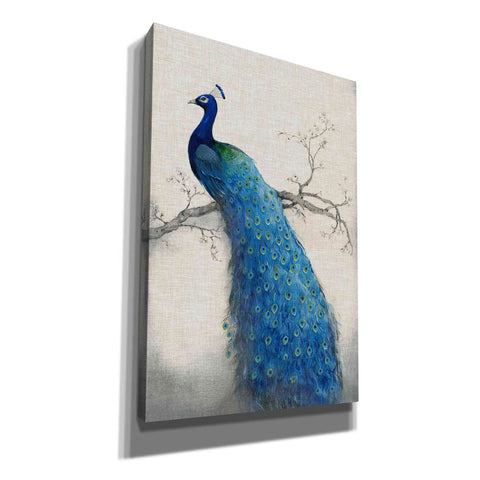 Image of 'Peacock Blue II' by Tim O'Toole, Canvas Wall Art