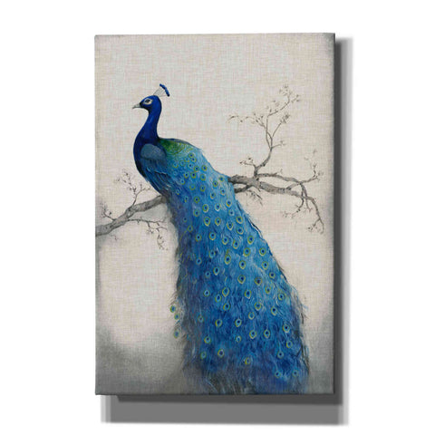 Image of 'Peacock Blue II' by Tim O'Toole, Canvas Wall Art