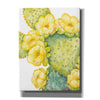 'Cactus on Silver I' by Tim O'Toole, Canvas Wall Art