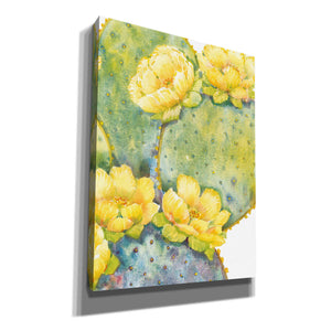 'Cactus on Silver II' by Tim O'Toole, Canvas Wall Art