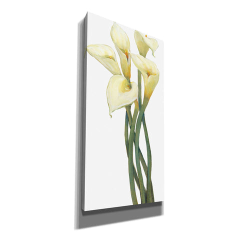 Image of 'Callas on Silver I' by Tim O'Toole, Canvas Wall Art