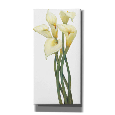 Image of 'Callas on Silver I' by Tim O'Toole, Canvas Wall Art