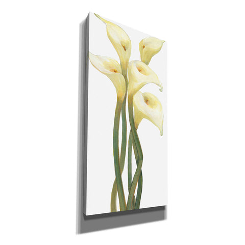 Image of 'Callas on Silver II' by Tim O'Toole, Canvas Wall Art