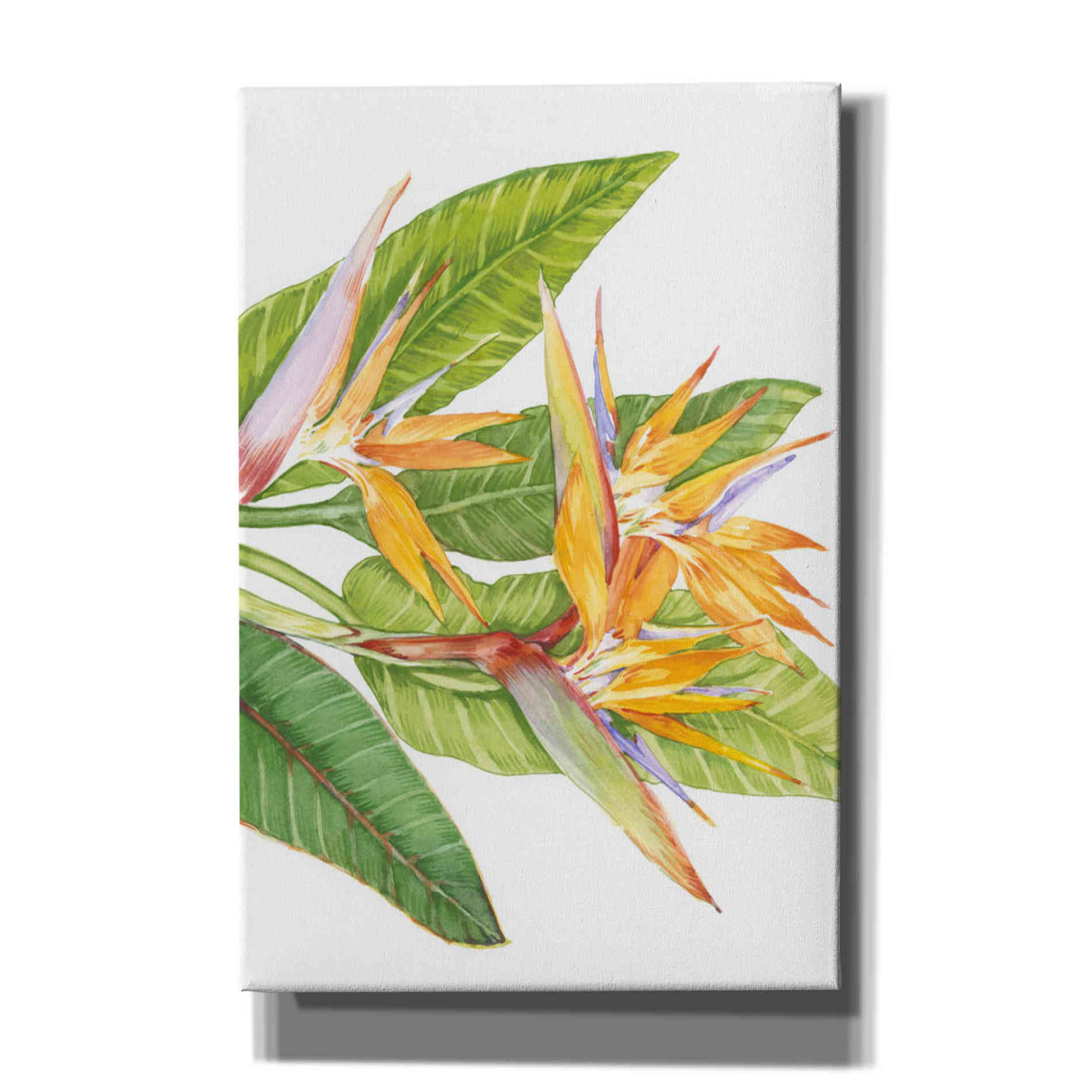 'Exotic Flowers II' by Tim O'Toole, Canvas Wall Art