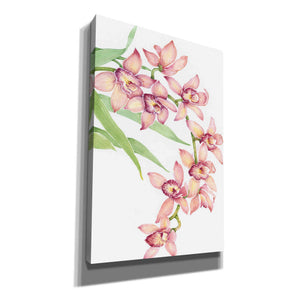 'Exotic Flowers III' by Tim O'Toole, Canvas Wall Art