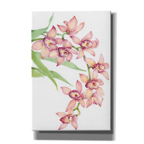 Image of 'Exotic Flowers III' by Tim O'Toole, Canvas Wall Art