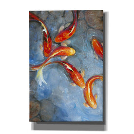 'Graceful Koi II' by Tim O'Toole, Canvas Wall Art