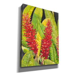 'Red Tropical Flowers I' by Tim O'Toole, Canvas Wall Art