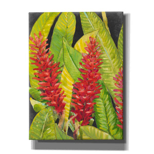 'Red Tropical Flowers I' by Tim O'Toole, Canvas Wall Art