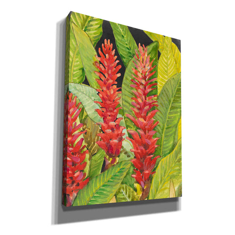 Image of 'Red Tropical Flowers II' by Tim O'Toole, Canvas Wall Art