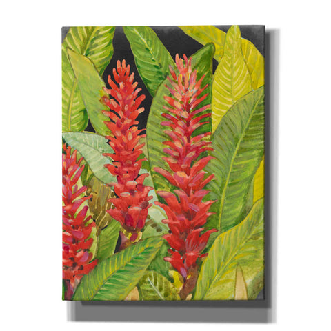 Image of 'Red Tropical Flowers II' by Tim O'Toole, Canvas Wall Art