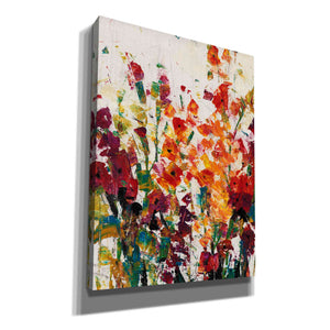 'Wildflowers Blooming II' by Tim O'Toole, Canvas Wall Art