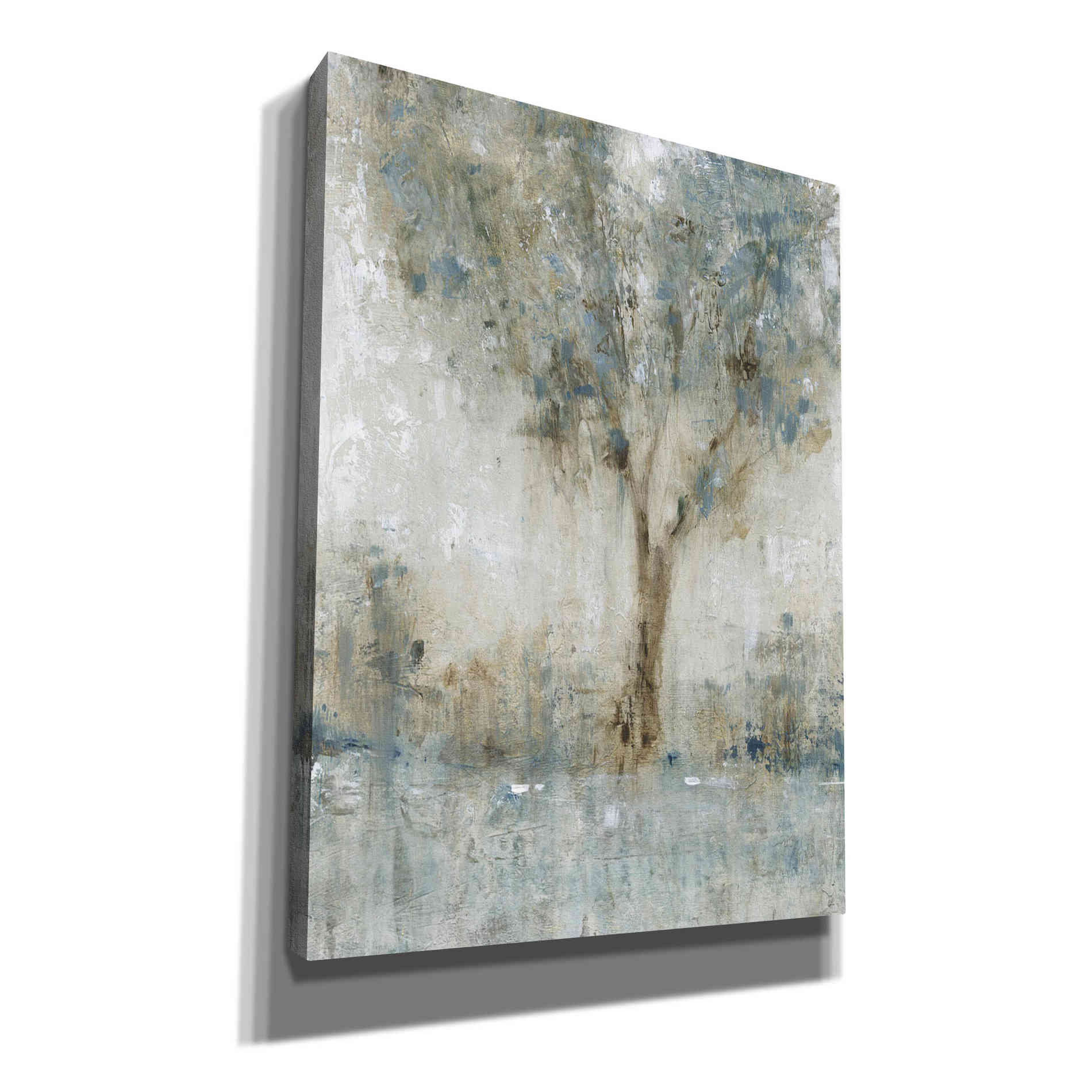 'Morning Glow I' by Tim O'Toole, Canvas Wall Art