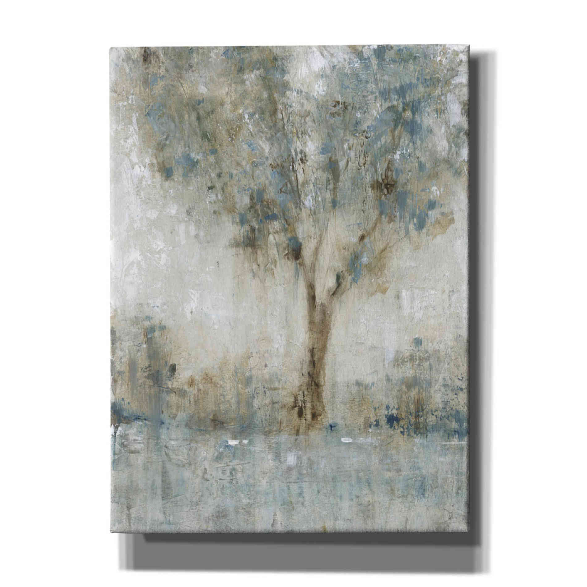 'Morning Glow I' by Tim O'Toole, Canvas Wall Art