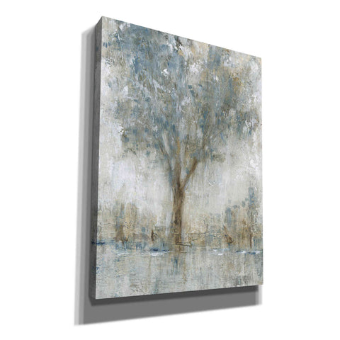 Image of 'Morning Glow II' by Tim O'Toole, Canvas Wall Art