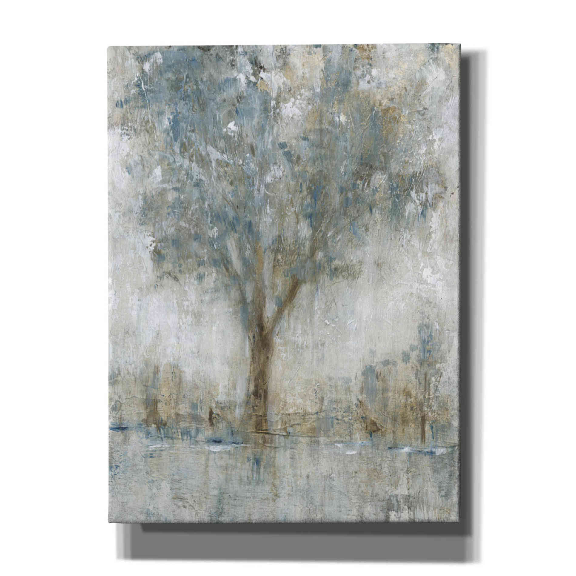 'Morning Glow II' by Tim O'Toole, Canvas Wall Art