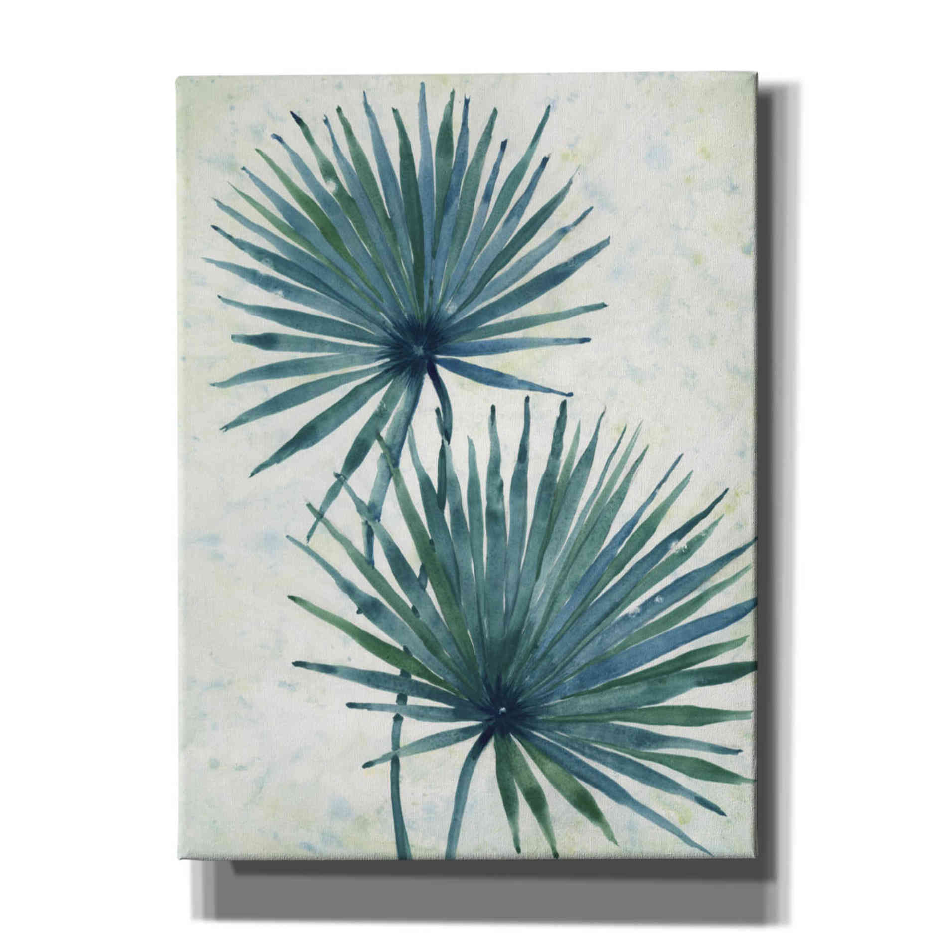 'Palm Leaves I' by Tim O'Toole, Canvas Wall Art