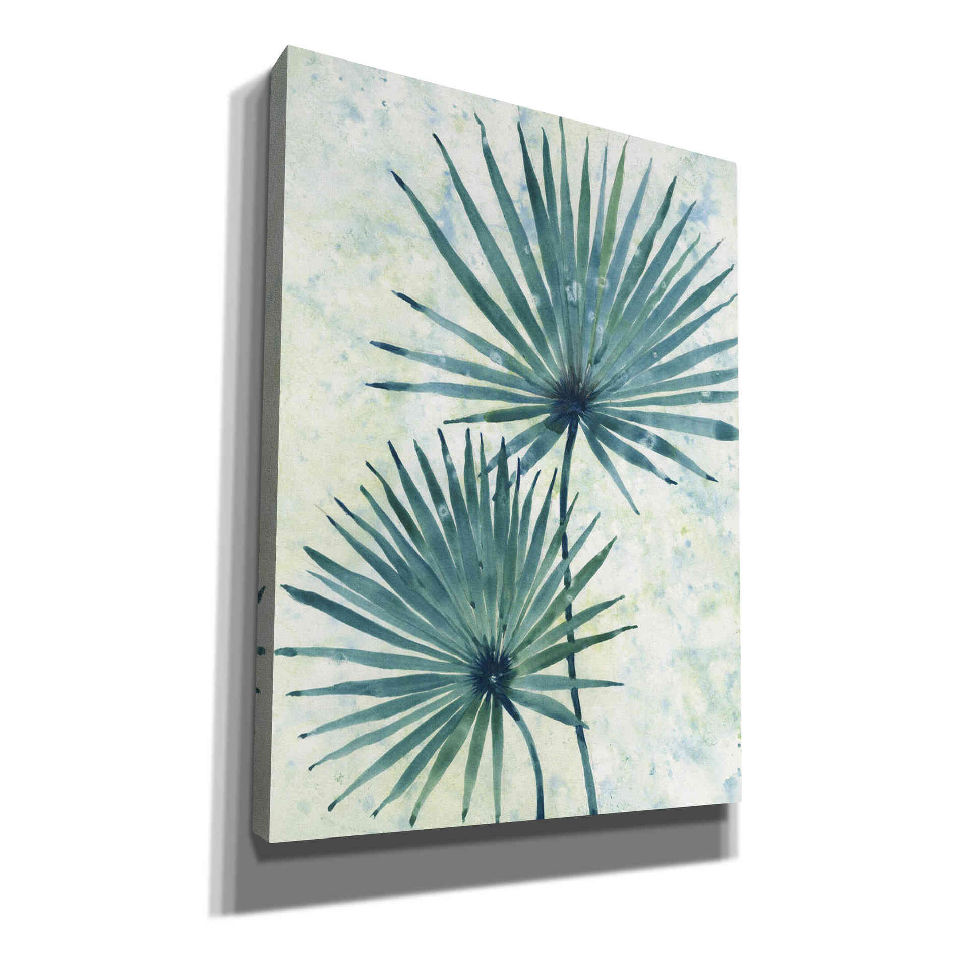 'Palm Leaves II' by Tim O'Toole, Canvas Wall Art