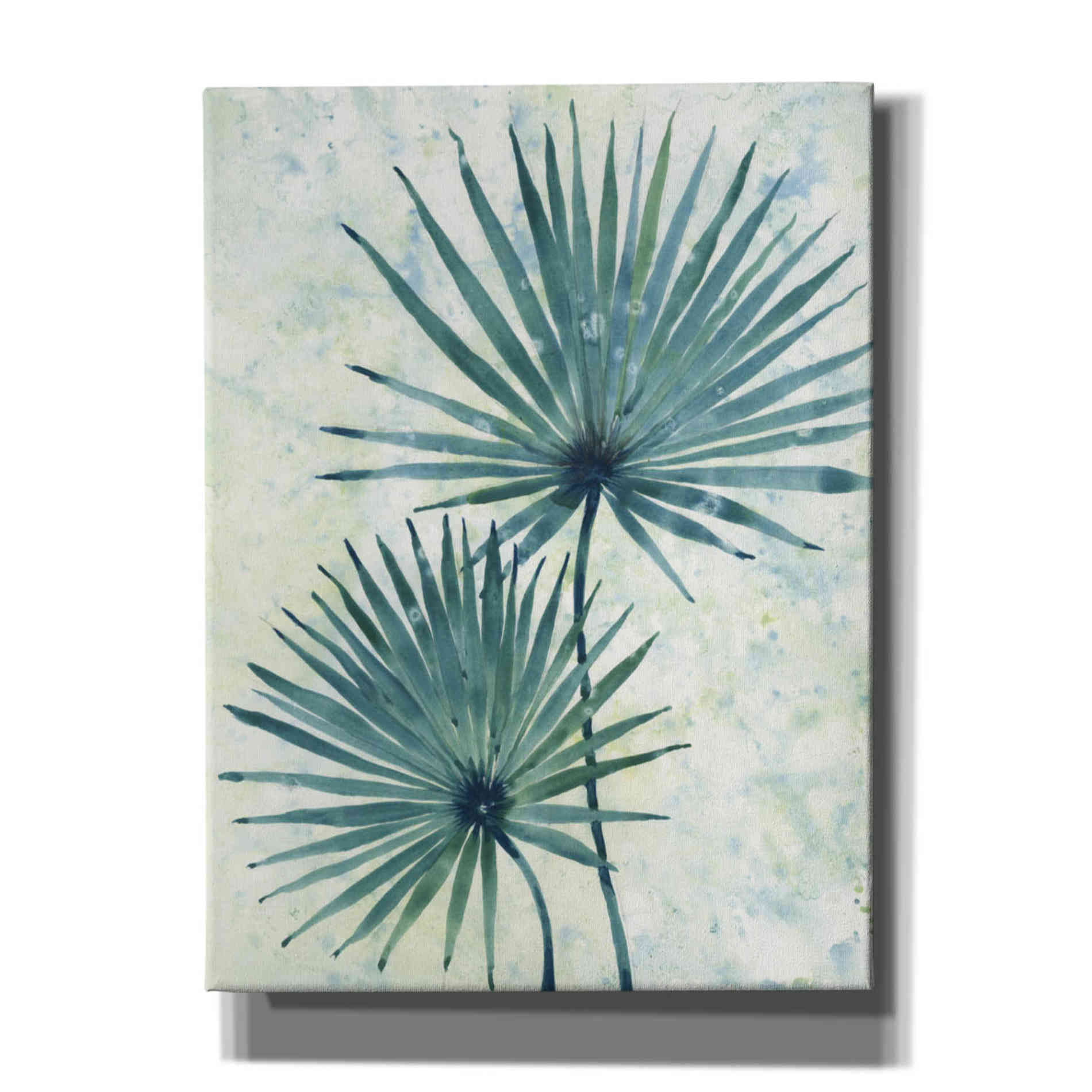 'Palm Leaves II' by Tim O'Toole, Canvas Wall Art