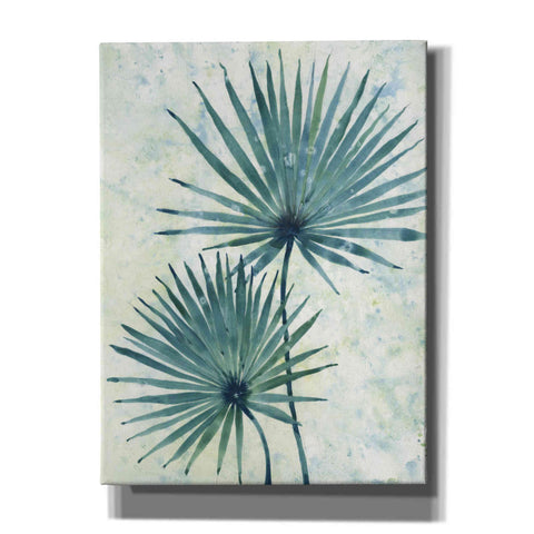 Image of 'Palm Leaves II' by Tim O'Toole, Canvas Wall Art