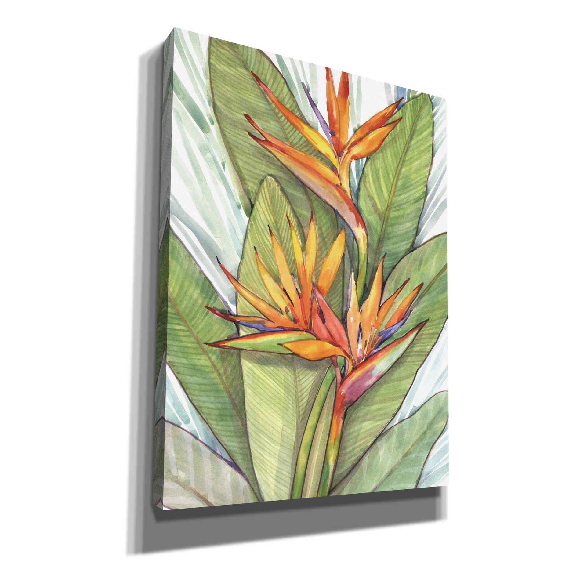 'Tropical Botanical Paradise I' by Tim O'Toole, Canvas Wall Art