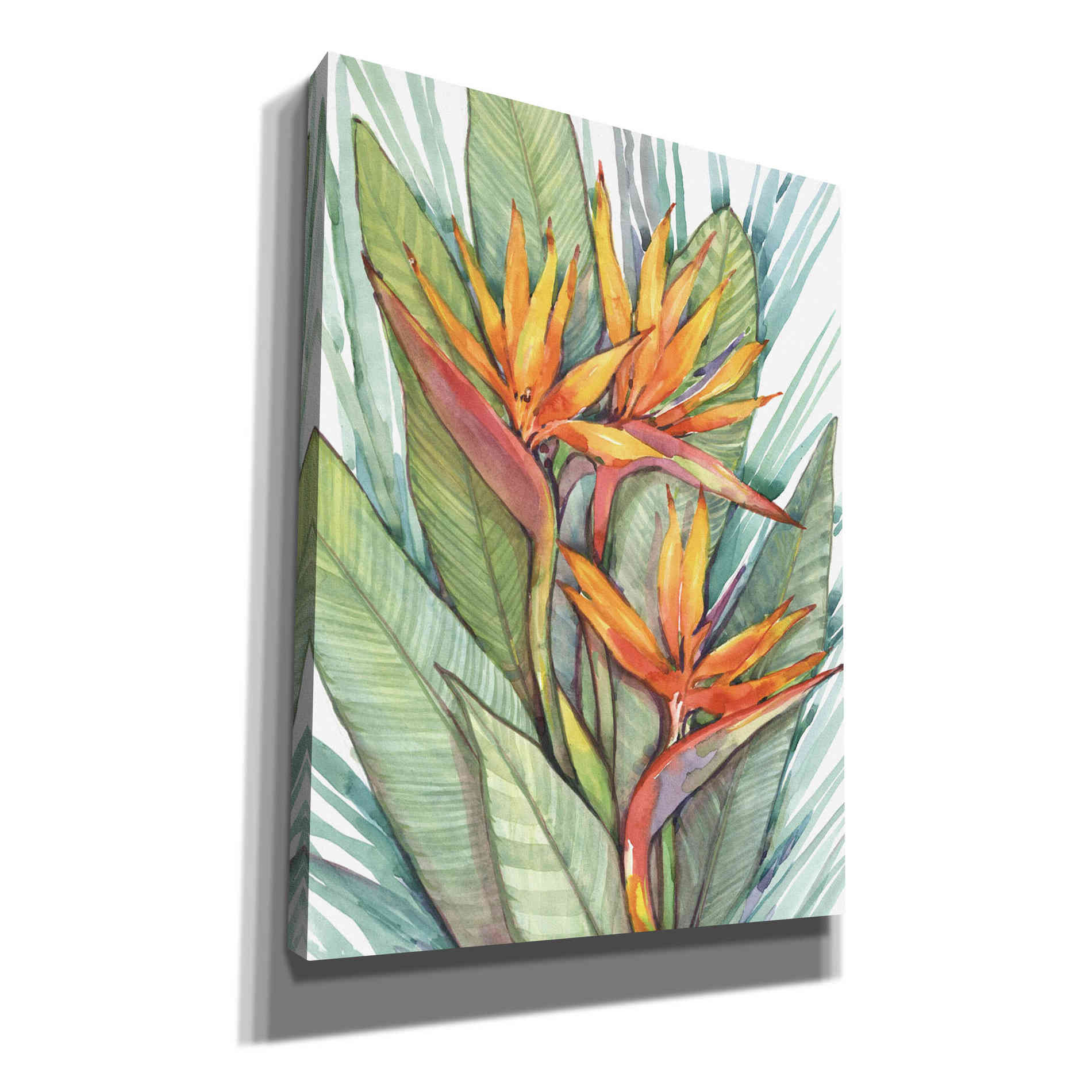 'Tropical Botanical Paradise II' by Tim O'Toole, Canvas Wall Art