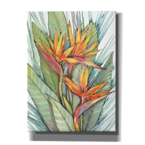 Image of 'Tropical Botanical Paradise II' by Tim O'Toole, Canvas Wall Art