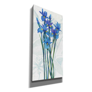 'Blue Iris Panel I' by Tim O'Toole, Canvas Wall Art