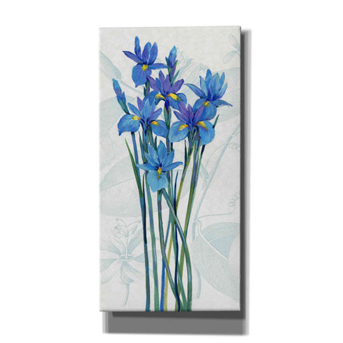 Image of 'Blue Iris Panel I' by Tim O'Toole, Canvas Wall Art