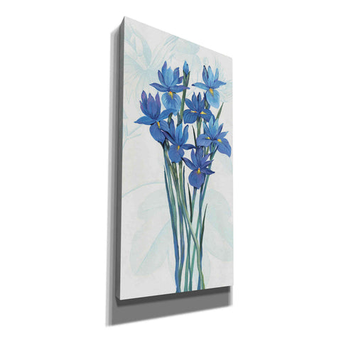 Image of 'Blue Iris Panel II' by Tim O'Toole, Canvas Wall Art