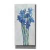 'Blue Iris Panel II' by Tim O'Toole, Canvas Wall Art