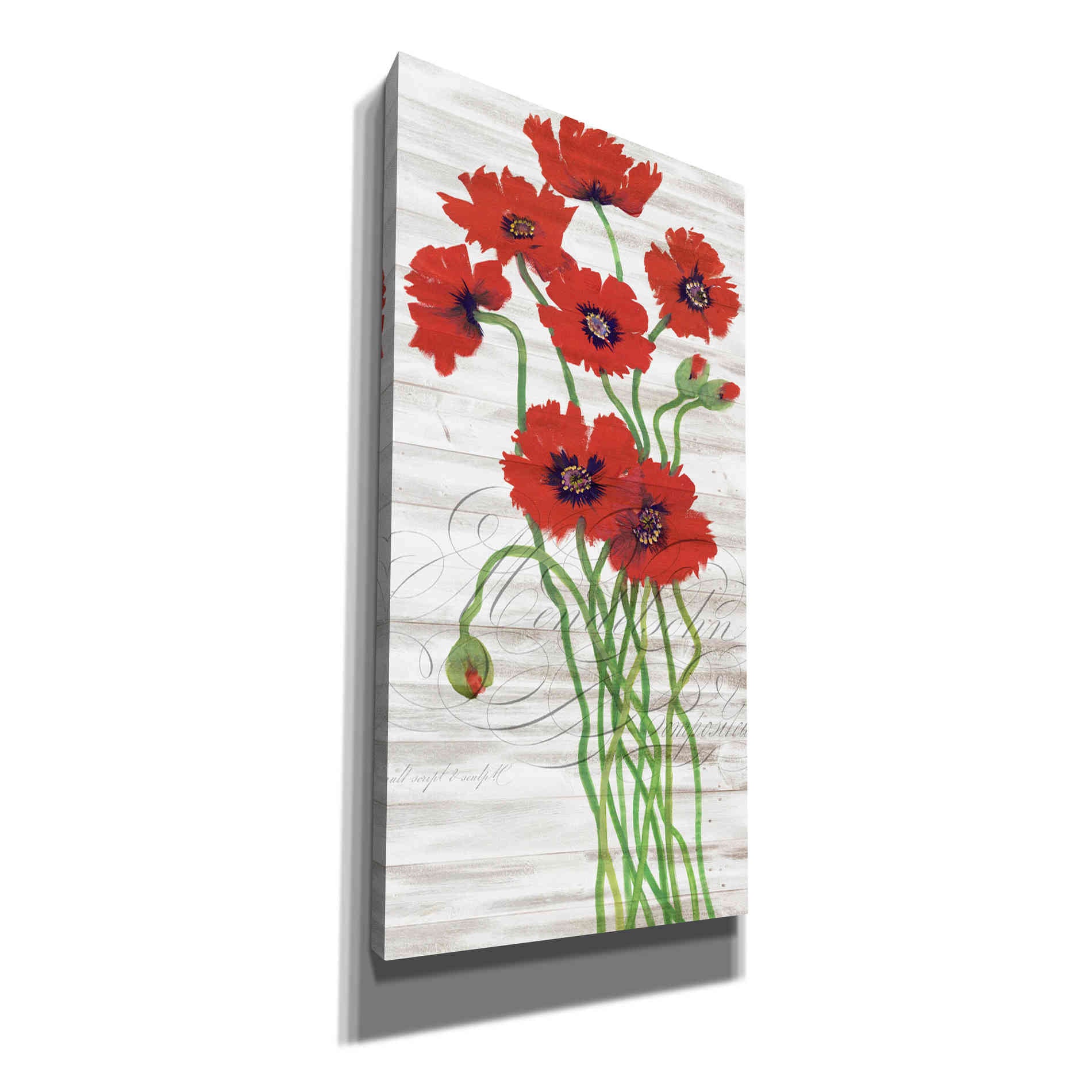 'Red Poppy Panel I' by Tim O'Toole, Canvas Wall Art