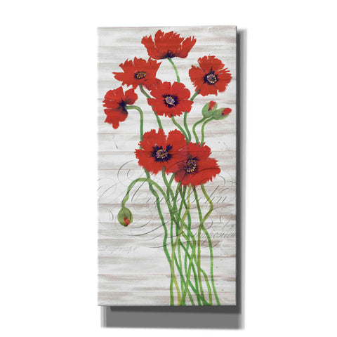 Image of 'Red Poppy Panel I' by Tim O'Toole, Canvas Wall Art